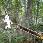 2026年2月発行第162号